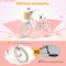 Kids 16-Inch Bike with Adjustable Seat and Hand Brake for Girls Boys